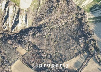 Rustico Contrada Ciapelle, Ripatransone - foto 2