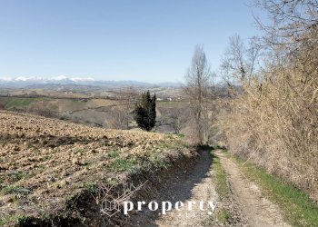 Rustico Contrada Ciapelle, Ripatransone - foto 5