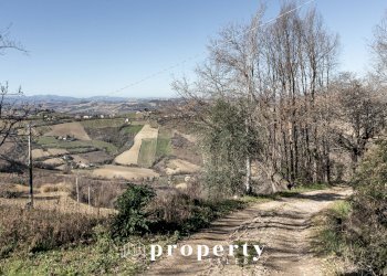 Rustico Contrada Ciapelle, Ripatransone - foto 6