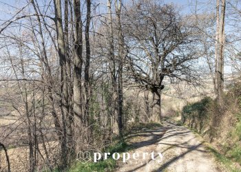 Rustico Contrada Ciapelle, Ripatransone - foto 7