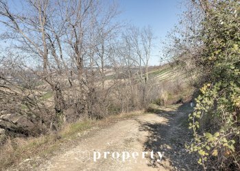 Rustico Contrada Ciapelle, Ripatransone - foto 8