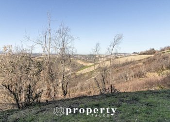 Rustico Contrada Ciapelle, Ripatransone - foto 19