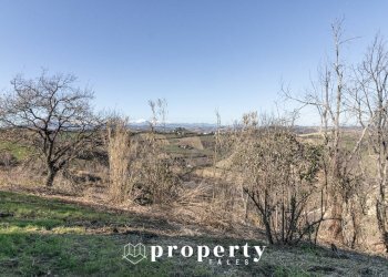 Rustico Contrada Ciapelle, Ripatransone - foto 20