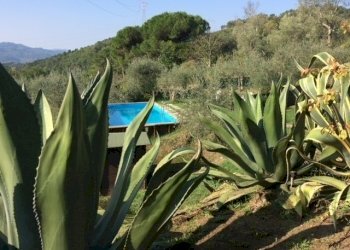 sa13.jpg - Villa Sarzana - foto 14