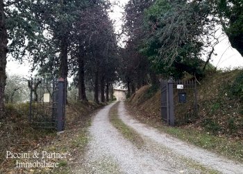 02.jpg - Casale Strada Vic. della Montagna 9, Cetona - foto 2