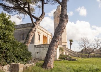 4dcd338c-4ccf-43b4-a6cb-2041e508619e.JPG - Casale Via Foggia 19, Ostuni - foto 2