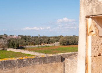 5aae0445-e390-48e7-a2b4-acd435e8beab.JPG - Casale Via Foggia 19, Ostuni - foto 6