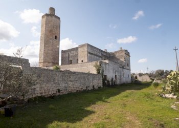 5177c536-bac0-49c2-8636-988469b624f7.JPG - Casale Via Foggia 19, Ostuni - foto 19