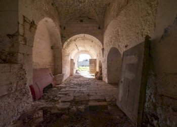 abb9220b-ba7d-4446-a570-50aa22aaa111.JPG - Casale Via Foggia 19, Ostuni - foto 28