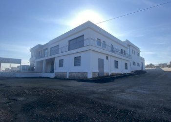 IMG_3958.jpg - Azienda agricola Strada Statale 16 Adriatica 105, Ostuni - foto 1