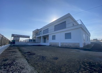 IMG_3959.jpg - Azienda agricola Strada Statale 16 Adriatica 105, Ostuni - foto 2