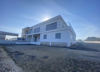 IMG_3960.jpg - Azienda agricola Strada Statale 16 Adriatica 105, Ostuni - foto 3