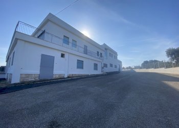 IMG_3962.jpg - Azienda agricola Strada Statale 16 Adriatica 105, Ostuni - foto 5