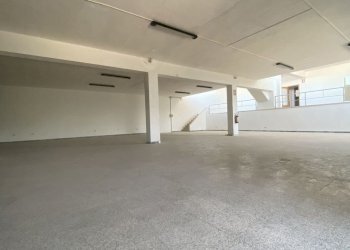 IMG_3968.jpg - Azienda agricola Strada Statale 16 Adriatica 105, Ostuni - foto 6