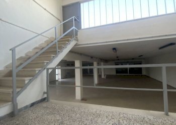 IMG_3970.jpg - Azienda agricola Strada Statale 16 Adriatica 105, Ostuni - foto 7