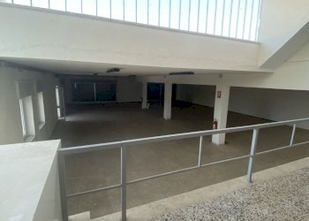 IMG_3971.jpg - Azienda agricola Strada Statale 16 Adriatica 105, Ostuni - foto 8