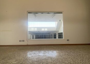 IMG_3973.jpg - Azienda agricola Strada Statale 16 Adriatica 105, Ostuni - foto 10