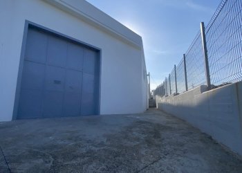 IMG_3963.jpg - Azienda agricola Strada Statale 16 Adriatica 105, Ostuni - foto 11