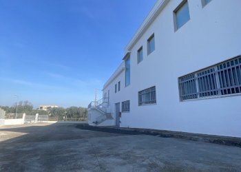 IMG_3964.jpg - Azienda agricola Strada Statale 16 Adriatica 105, Ostuni - foto 12