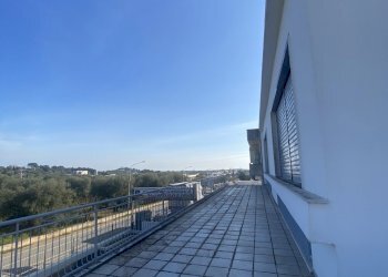 IMG_3965.jpg - Azienda agricola Strada Statale 16 Adriatica 105, Ostuni - foto 13