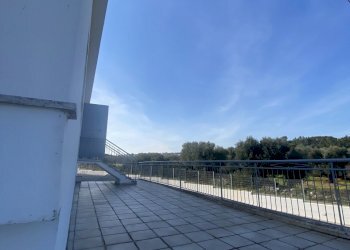 IMG_3966.jpg - Azienda agricola Strada Statale 16 Adriatica 105, Ostuni - foto 14