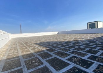 IMG_3974.jpg - Azienda agricola Strada Statale 16 Adriatica 105, Ostuni - foto 15