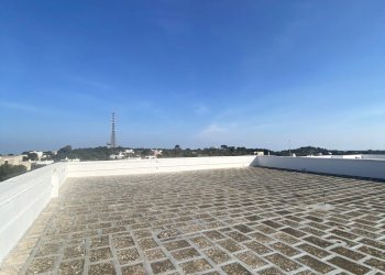 IMG_3975.jpg - Azienda agricola Strada Statale 16 Adriatica 105, Ostuni - foto 16