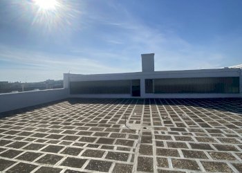 IMG_3976.jpg - Azienda agricola Strada Statale 16 Adriatica 105, Ostuni - foto 17