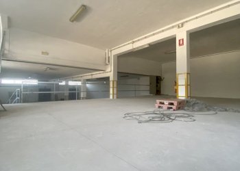 IMG_3978.jpg - Azienda agricola Strada Statale 16 Adriatica 105, Ostuni - foto 19