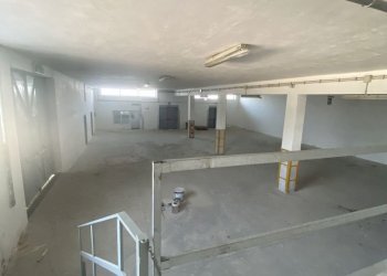 IMG_3979.jpg - Azienda agricola Strada Statale 16 Adriatica 105, Ostuni - foto 20