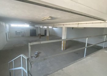 IMG_3980.jpg - Azienda agricola Strada Statale 16 Adriatica 105, Ostuni - foto 21