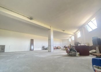 IMG_3983.jpg - Azienda agricola Strada Statale 16 Adriatica 105, Ostuni - foto 22