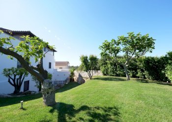 P1233595.jpg - Villa SP29 31, Ostuni - foto 6