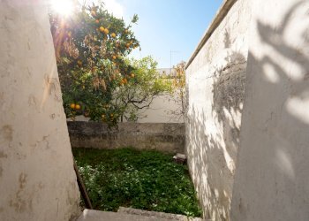 P1144779.jpg - Casa indipendente Via Gaspare Petrarolo, Ostuni - foto 19