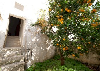P1144782.jpg - Casa indipendente Via Gaspare Petrarolo, Ostuni - foto 20