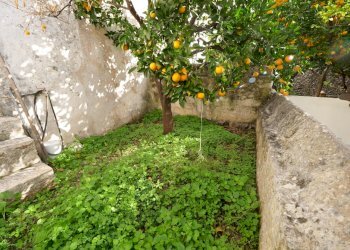 P1144783.jpg - Casa indipendente Via Gaspare Petrarolo, Ostuni - foto 21