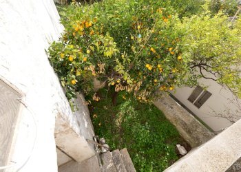 P1144785.jpg - Casa indipendente Via Gaspare Petrarolo, Ostuni - foto 22