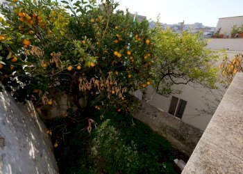 P1144790.jpg - Casa indipendente Via Gaspare Petrarolo, Ostuni - foto 23