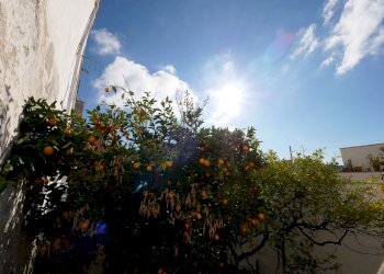 P1144793.jpg - Casa indipendente Via Gaspare Petrarolo, Ostuni - foto 24
