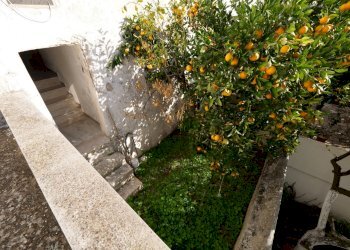 P1144795.jpg - Casa indipendente Via Gaspare Petrarolo, Ostuni - foto 25