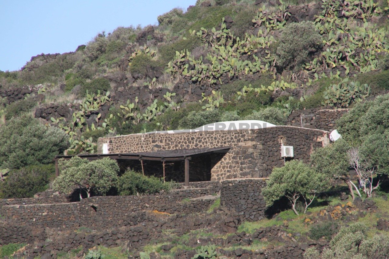 IMG_8013-min.JPG - Casale Pantelleria - foto 2