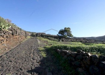 IMG_7901-min.JPG - Casale Pantelleria - foto 8