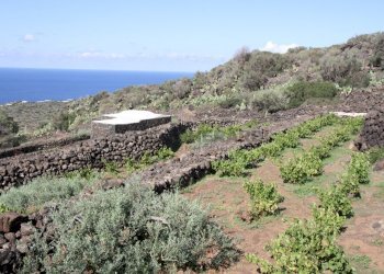 IMG_6667-min.JPG - Casale Pantelleria - foto 16