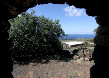 IMG_6620-min.JPG - Casale Pantelleria - foto 17