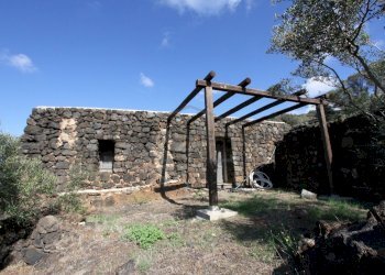 IMG_6617-min.JPG - Casale Pantelleria - foto 18