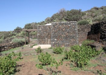 IMG_6644-min.JPG - Casale Pantelleria - foto 21