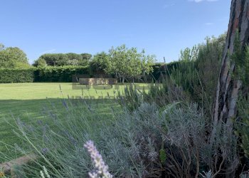Lavanda.jpg - Villa Via della chiesa 10, Cascina - foto 1