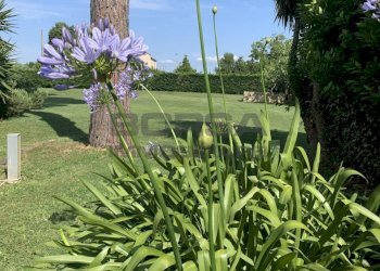 Prato.jpg - Villa Via della chiesa 10, Cascina - foto 5