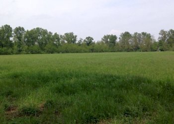 Single Family Villa San Lazzaro di Savena - photo 5