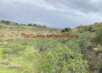 Rustic Sciacca - photo 8